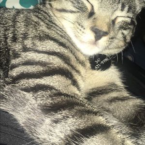 Meet your Posher, Maria